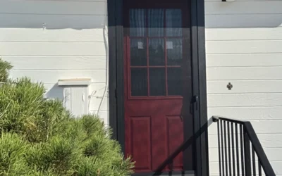 Full View Bronze Anodized Screen Door