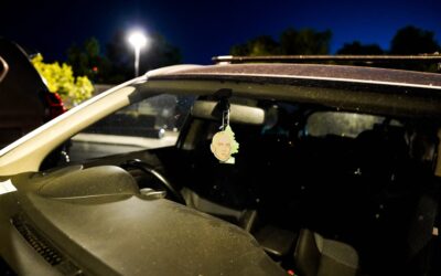 Is Your Windshield Crack or Chip Worth Repairing? Learn How to Tell