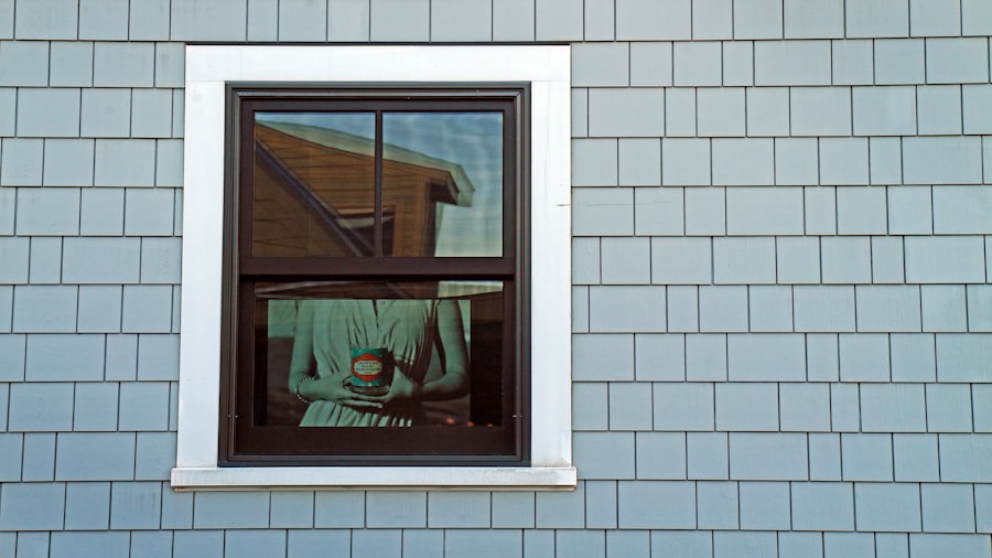 screen replacement windows