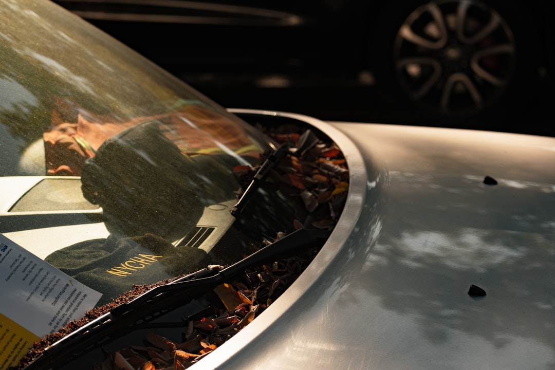 Close-up of a car windshield covered in dust and fallen leaves, with sunlight reflecting off the glass and a parking ticket visible under the wiper.